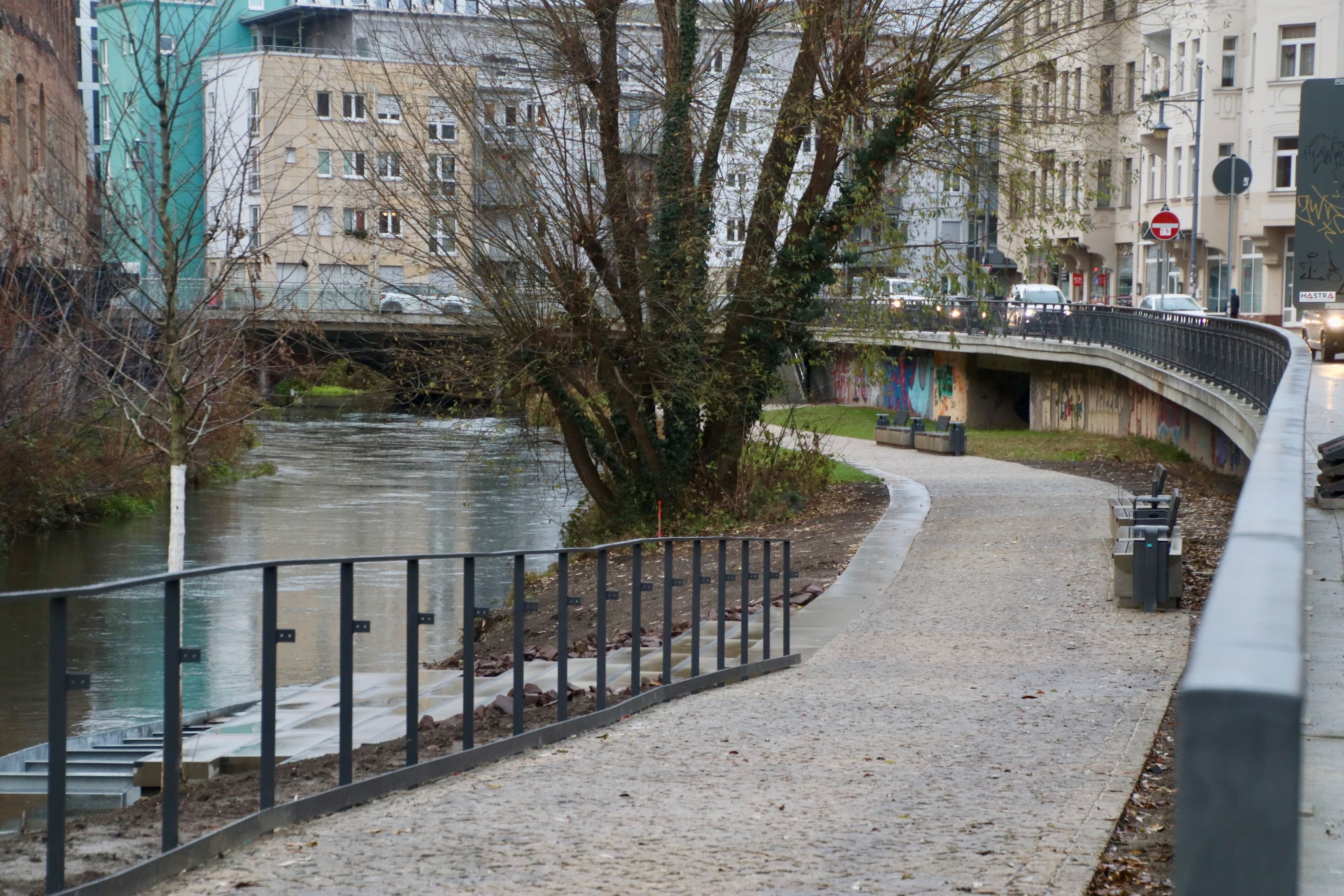 Umweltschutz in Halle: Arbeitskreis fordert mehr Schutz der Saaleauen