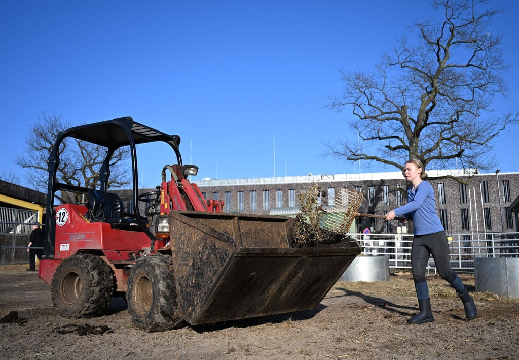 Ein Berliner Reitverein wurde durch einen Fake-Verkauf um 17.000 Euro betrogen.