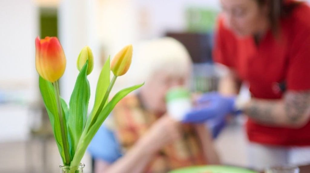 Mit einem besonderen Projekt wollen Klinikum Bergmannstrost und Paul-Riebeck-Stiftung die Pflege nach einem Klinikaufenthalt verbessern.