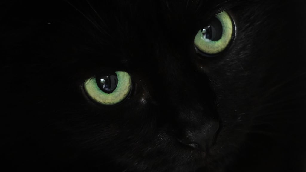 Bei einem umfangreichen Einsatz sind im Landkreis Hildburghausen in Thüringen durch Zufall Munition und Waffenteile sowie verschiedene Chemikalien entdeckt worden. (Symbolbild)