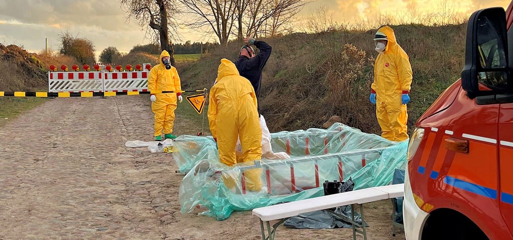 Quecksilberfund Cheine, Mitarbeiter des Umweltamtes werden nach Absuche dekontaminiert.  