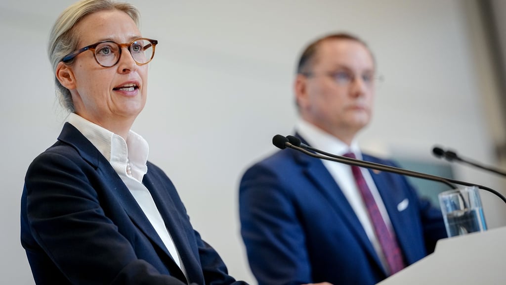 Alice Weidel und Tino Chrupalla stehen gemeinsam an der Spitze der AfD und sind auch Co-Vorsitzende der AfD-Bundestagsfraktion. (Archivfoto)
