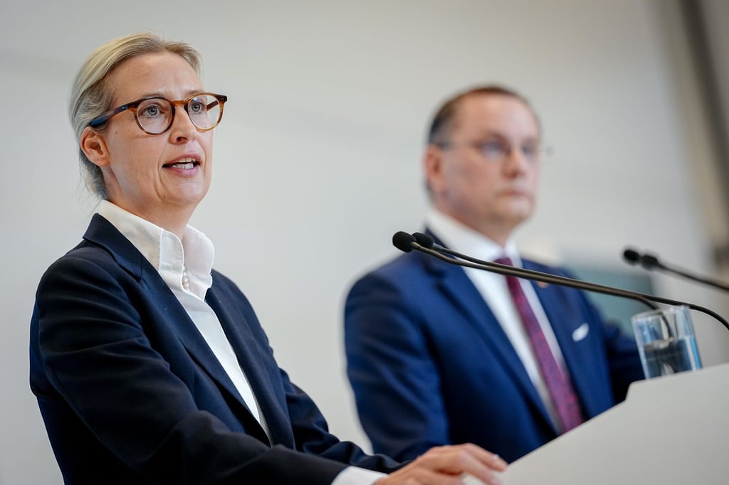 Alice Weidel und Tino Chrupalla stehen gemeinsam an der Spitze der AfD und sind auch Co-Vorsitzende der AfD-Bundestagsfraktion. (Archivfoto)