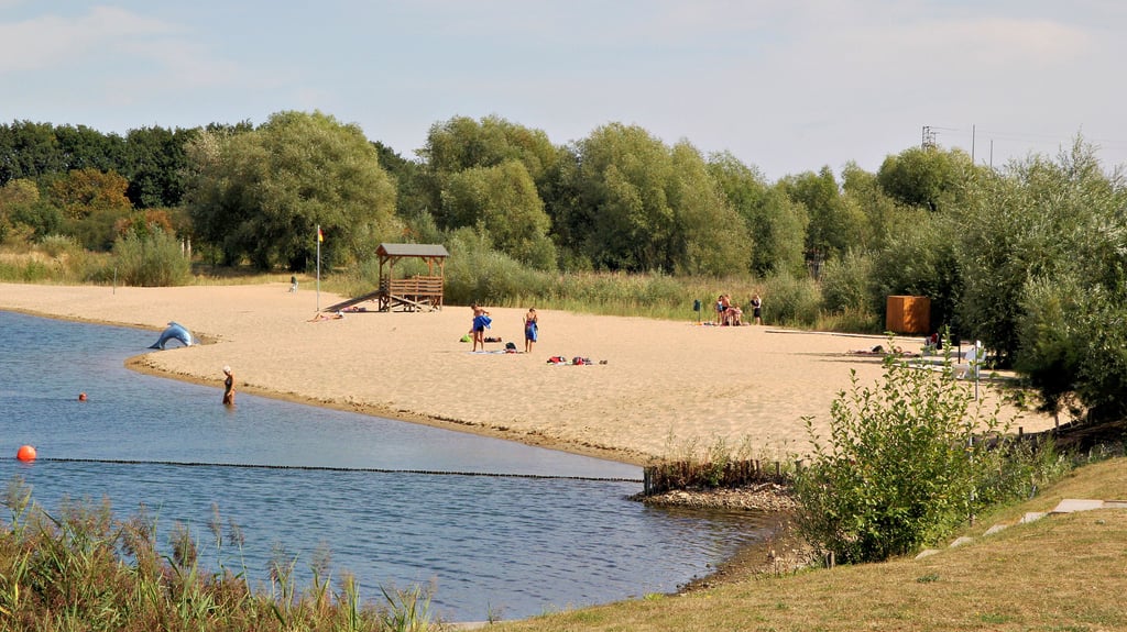 Die Stadt beschäftigt sich weiter mit der Zukunft des Seeparks. Am liebsten würde der Bürgermeister das Areal privatisieren. 