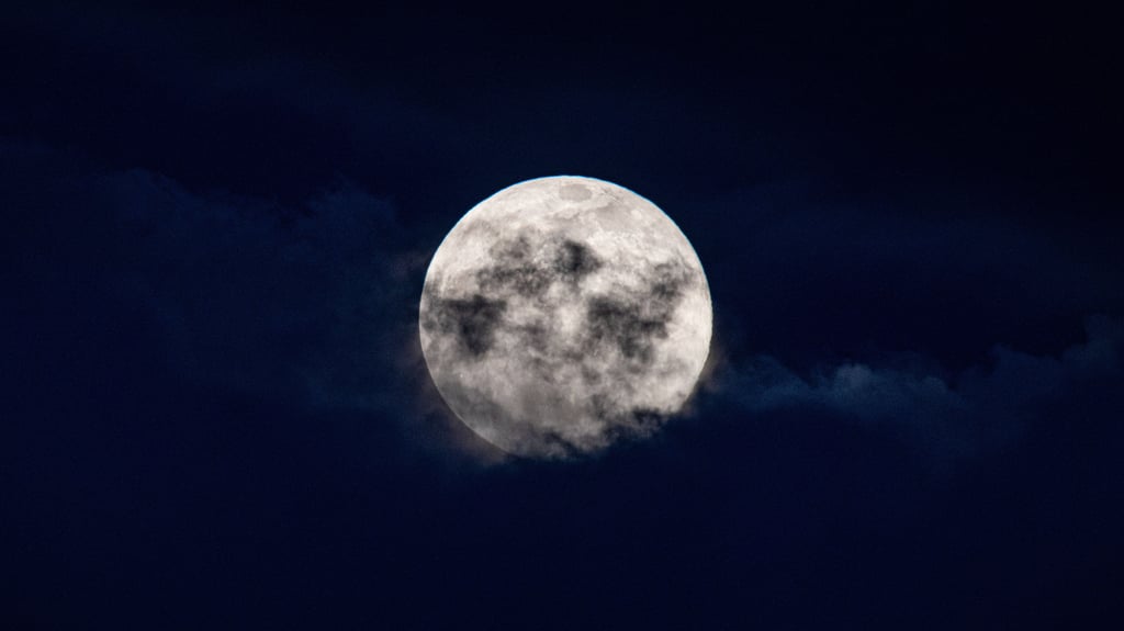 Der Lenzmond im März gilt traditionell als Vorbote des Frühlings.