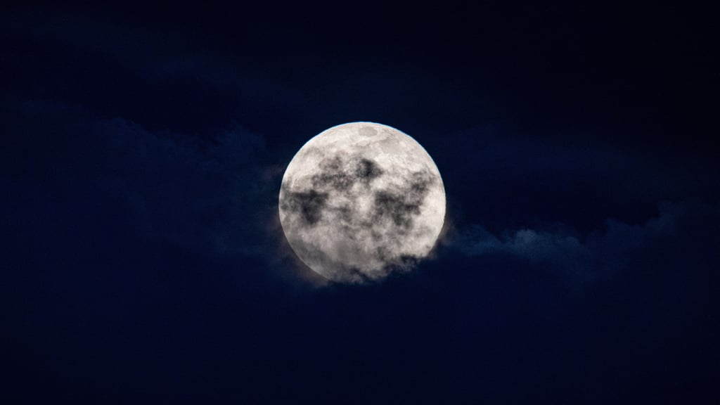 Der Lenzmond im März gilt traditionell als Vorbote des Frühlings.