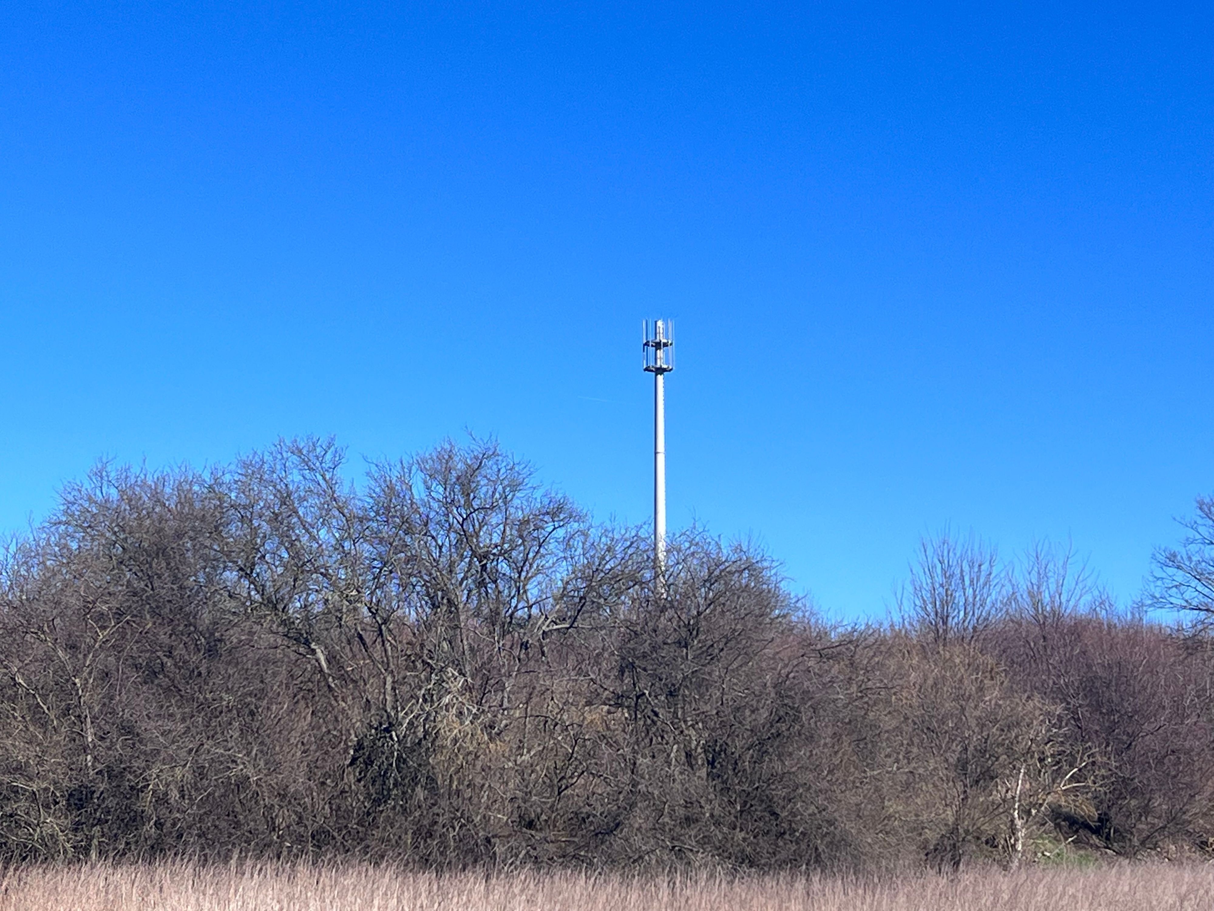 Telekommunikation im Harz: Funkloch Huy: Endlich Besserung in Sicht?