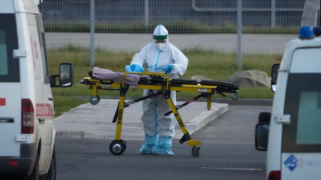 Auf dem Radar, aber kein Grund zur Sorge: Chikungunya  und andere seltene Infektionen wurden in Magdeburg 2025 nur vereinzelt gemeldet.