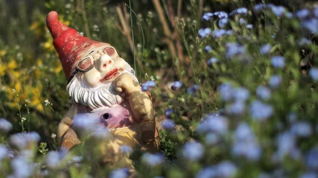 Ein Gartenzwerg in einem Kleingarten: Die Zahl der Anlagen in Magdeburg ist groß. Zu groß. Aktuell wird ein Konzept erarbeitet, um die Flächen zu minimieren.