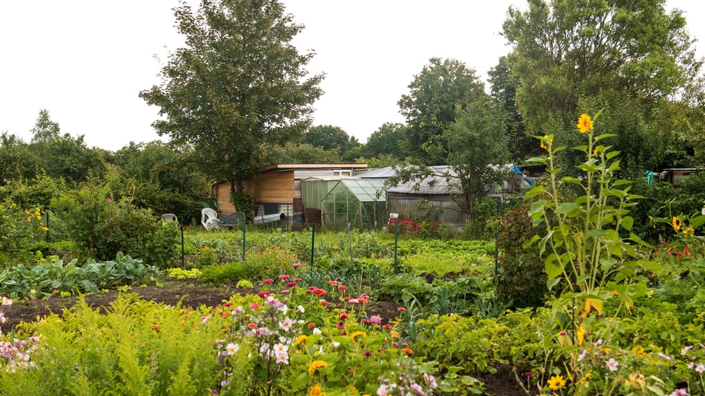 Grünes Idyll hinterm Gartenzaun: Zwischen einem Kleingartenverein in Magdeburg und dem Verband der Gartenfreunde brodelt es.