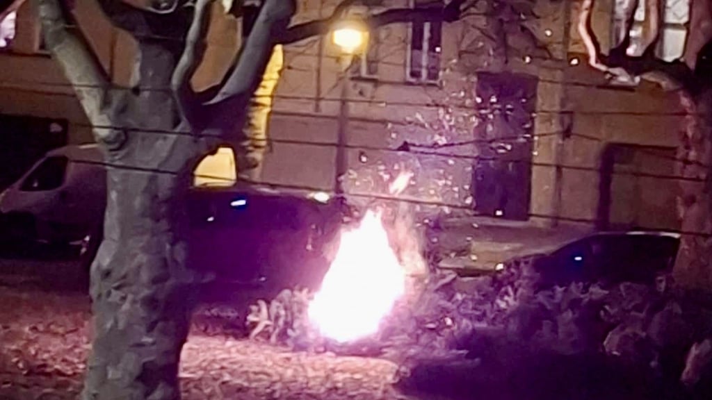 Am Landesmuseum in Halle melden Anwohner der Polizei einen brennenden Weihnachtsbaum.