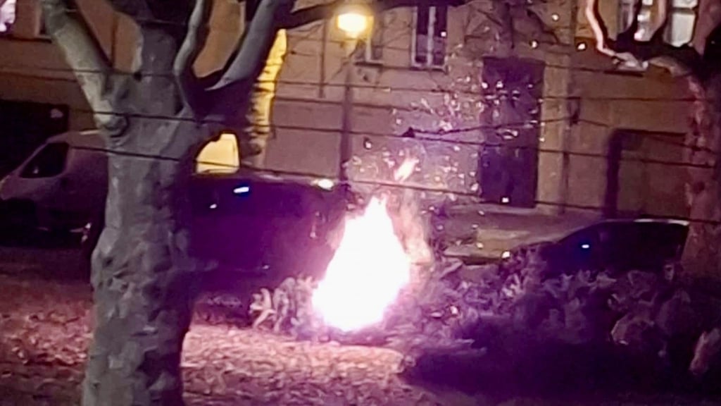 Am Landesmuseum in Halle melden Anwohner der Polizei einen brennenden Weihnachtsbaum.