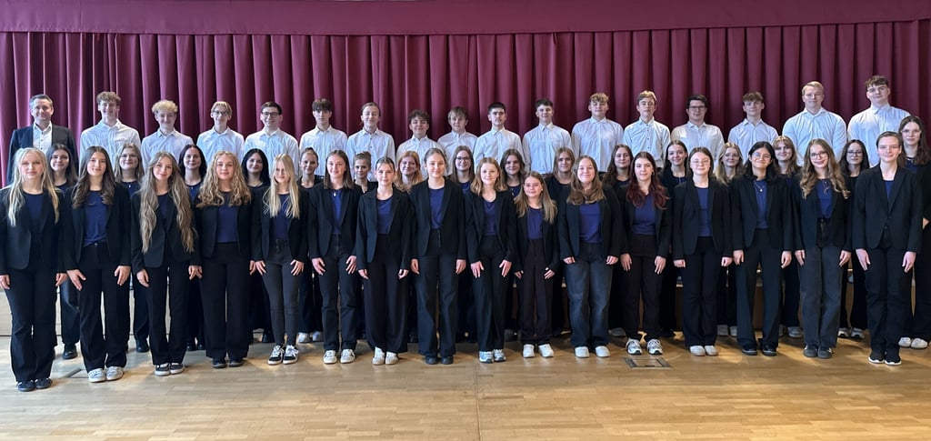 Der Kammerchor Voces Juvenales des Scholl-Gymnasiums Sangerhausen.
