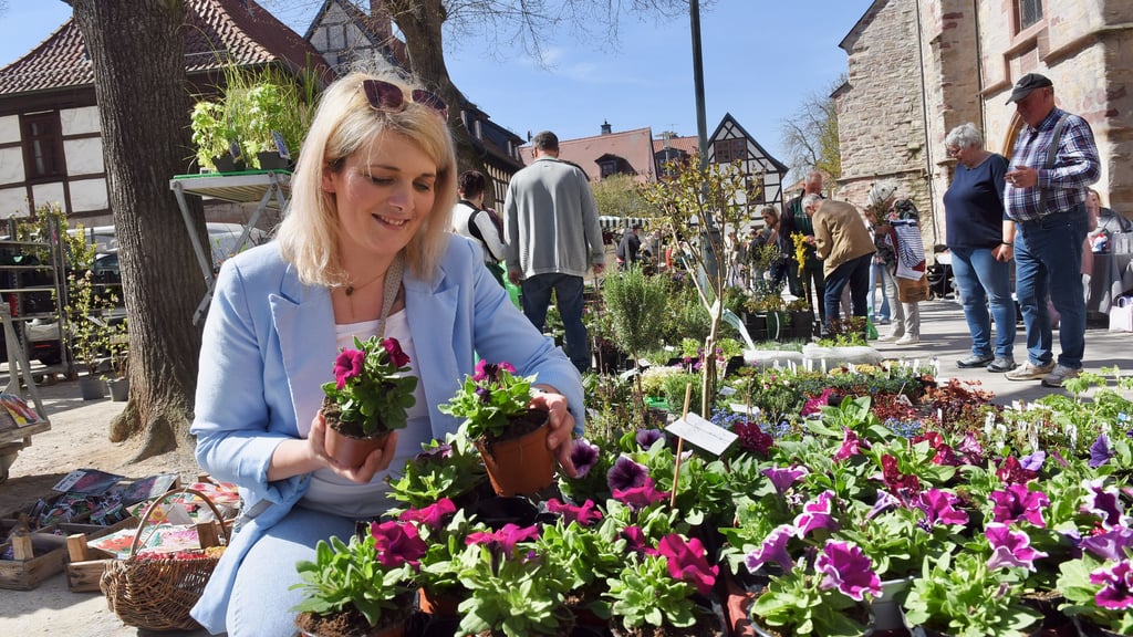 Dieses Foto stammt vom Frühlingserwachen im vergangenen Jahr. Damals gab es einen Markt auf dem Marktplatz. Sarah Liebau aus Bennungen freute sich an den Blumen, die dort angeboten wurden. Aber auch diesem Jahr ist zu der ersten Veranstaltung im Sangerhäuser Zentrum viel für die Besucher geplant. 