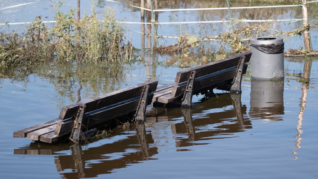 Die Stadt Dresden und die TU Dresden nutzen digitale Technik, um die Auswirkungen von Starkregen besser abzuschätzen. (Symbolbild)