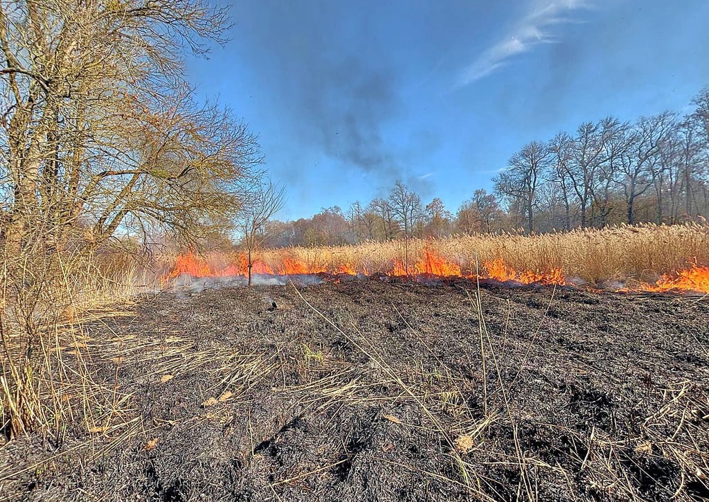 Ödland brannte bei Törten auf einer Fläche von 10.000 Quadratmeter.