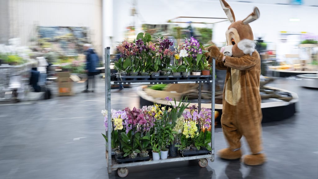 Im Rahmen der Publikumsmesse „Dresdner Ostern“ findet in diesem Jahr die Weltorchideenkonferenz statt. (Archivbild)