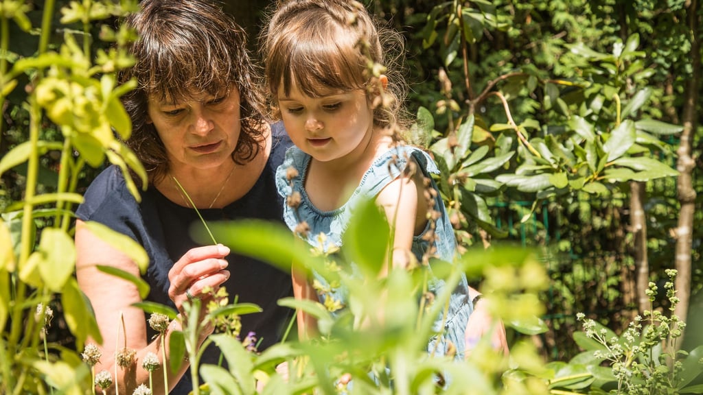 Klare Zonen schaffen: Spielbereich, Naschgarten, Blumenbeete und Kräutergarten sorgen für Struktur und Sicherheit im Garten.