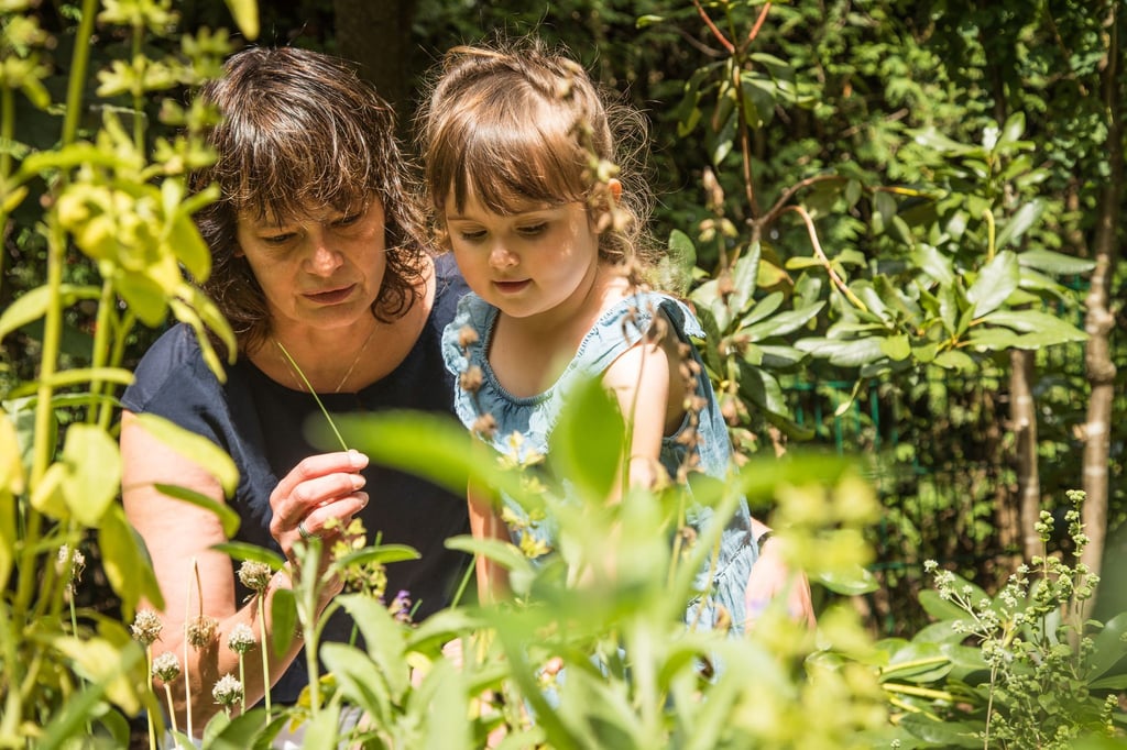 Klare Zonen schaffen: Spielbereich, Naschgarten, Blumenbeete und Kräutergarten sorgen für Struktur und Sicherheit im Garten.