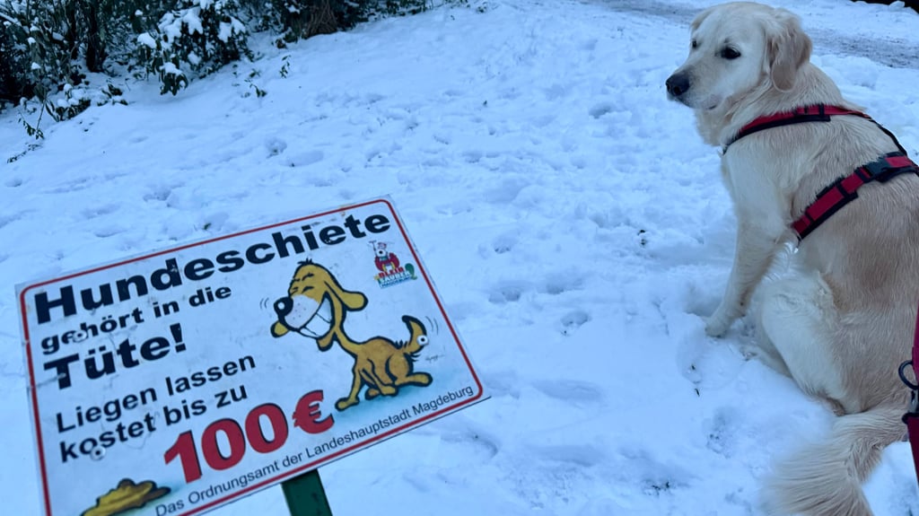 Die vor Jahren initiierte Kampagne „Hundeschiete gehört in die Tüte“ ist noch lebendig, wie hier im Schneidersgarten in Magdeburg. In Pechau gab es eine Idee, wie man im Ort mit ungebetenen Hinterlassenschaften verfahren könnte. 