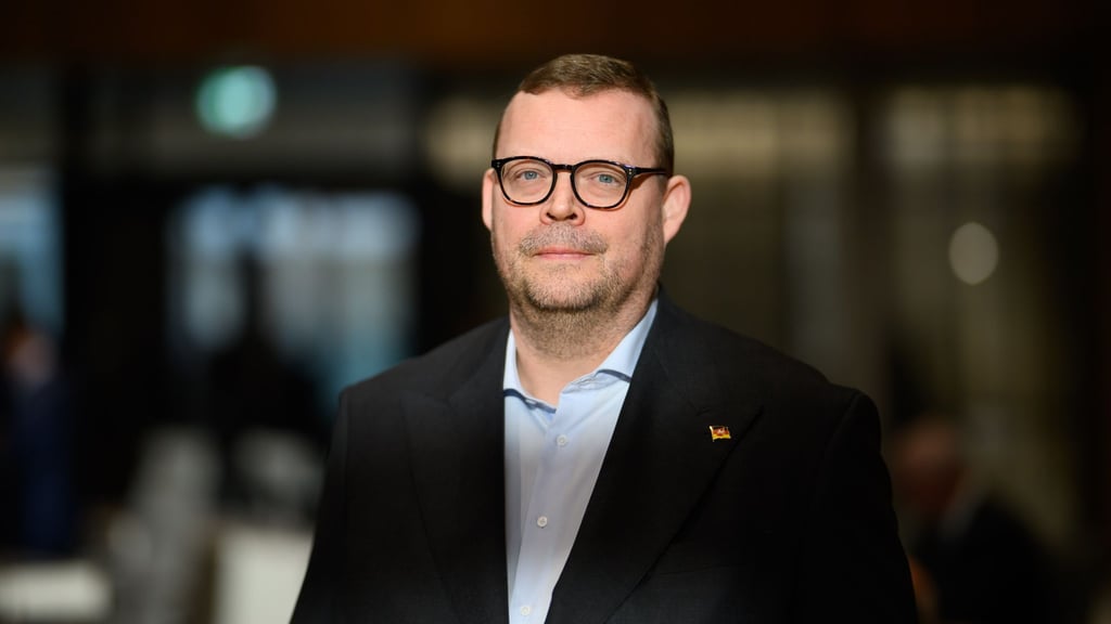 AfD-Landeschef Schledde hat seine Einkünfte nach Parteiangaben korrekt angegeben.