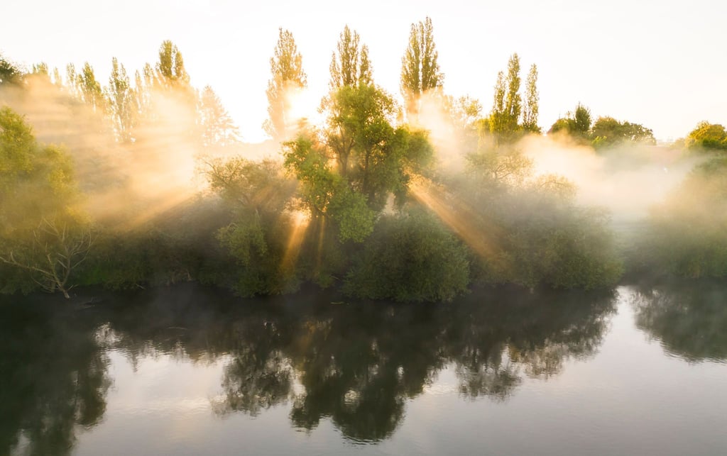 Entlang der Weser und Aller halten sich am Mittwochvormittag Nebelfelder, bevor sie am Nachmittag der Sonne weichen. (Symbolbild)