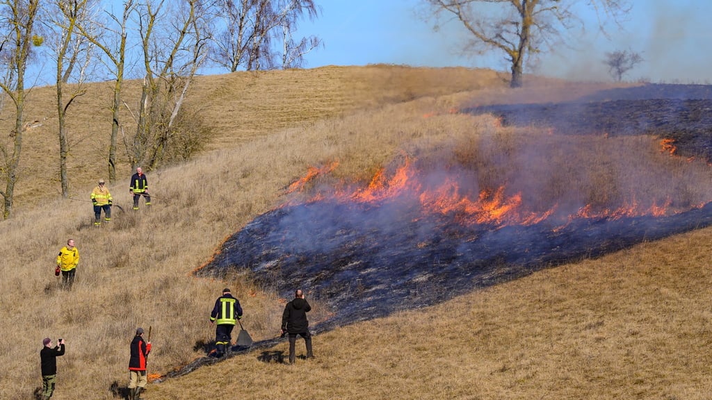 Das kontrollierte Feuer entfernt abgestorbenes Gras aus dem Vorjahr und schafft wieder Licht für Pflanzen.
