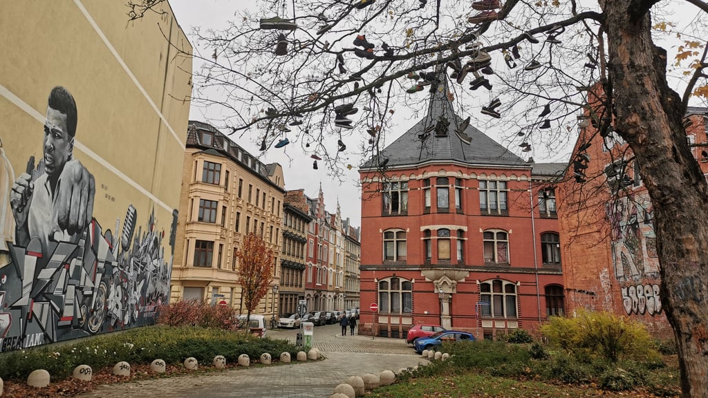 Rund zehn Jahre lang prägte der „Schuhbaum“ an der Klosterbergestraße am Eingang zum „Aldi-Park“ das Bild – bis der Stadtgartenbetrieb Magdeburg im Februar 2026 die Schuhe aus seinen Ästen entfernte.
