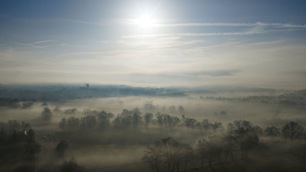 In Sachsen-Anhalt machen sich Anfang März frühlingshafte Temperaturen breit.