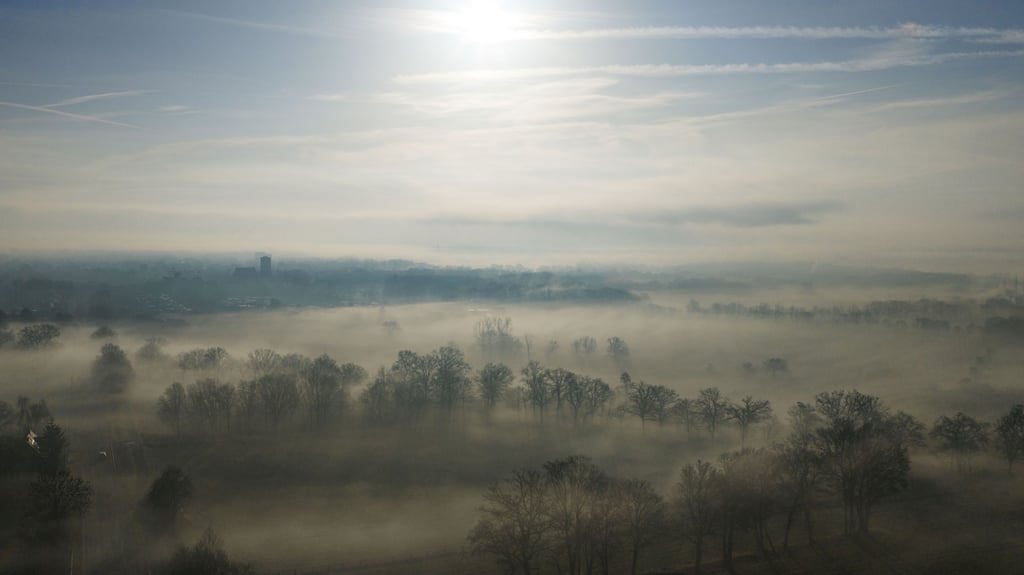 In Sachsen-Anhalt machen sich Anfang März frühlingshafte Temperaturen breit.