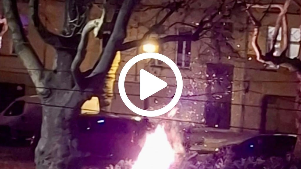 Am Landesmuseum in Halle melden Anwohner der Polizei einen brennenden Weihnachtsbaum.