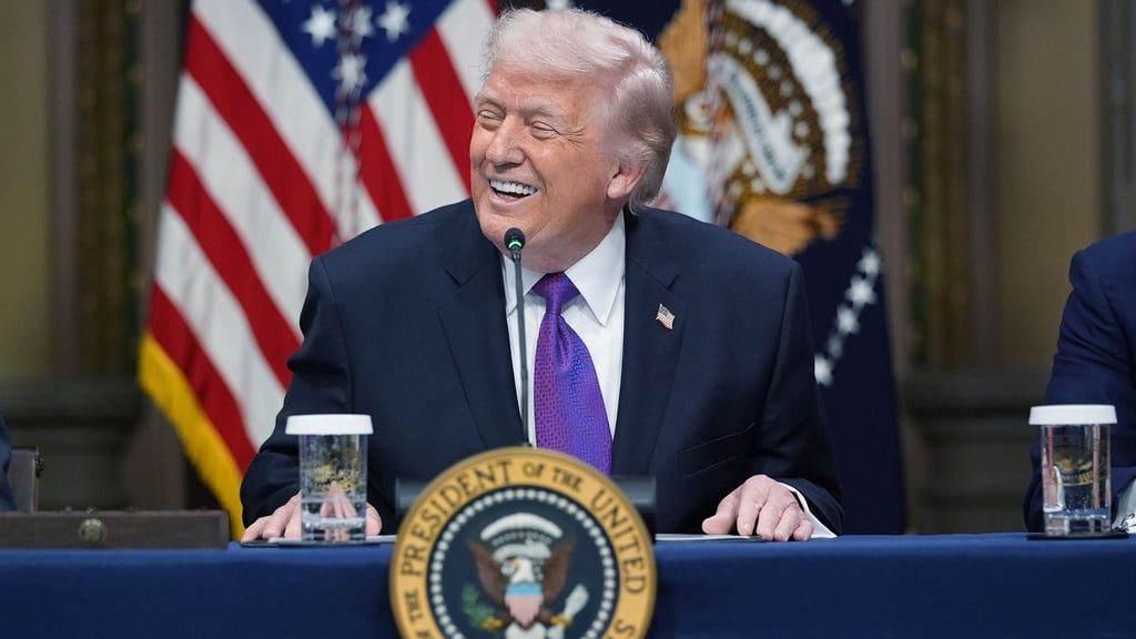 US-Präsident Trump verpflichtet Tech-Konzerne zu eigener Stromproduktion für Rechenzentren.