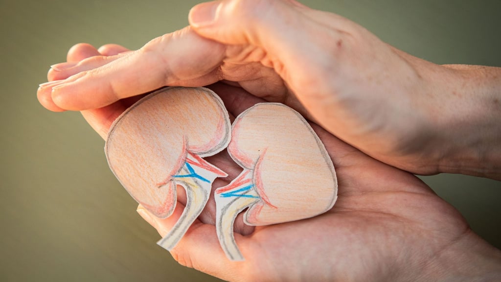 Ich pass' auf euch auf! Mit einem gesunden Lebensstil können wir unsere Nieren schützen.