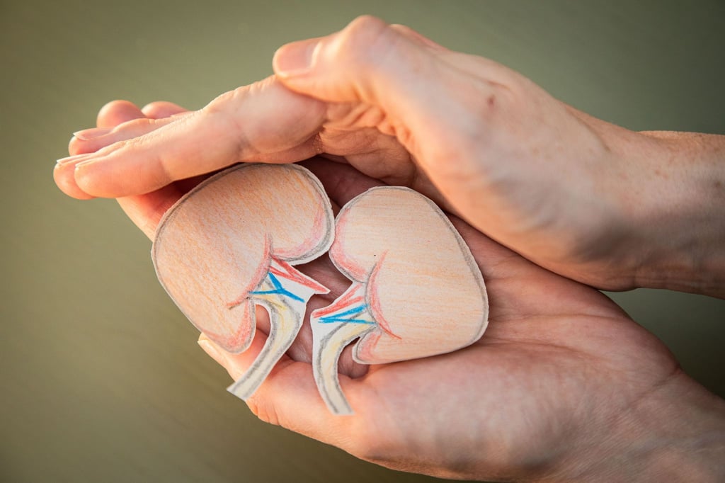 Ich pass' auf euch auf! Mit einem gesunden Lebensstil können wir unsere Nieren schützen.