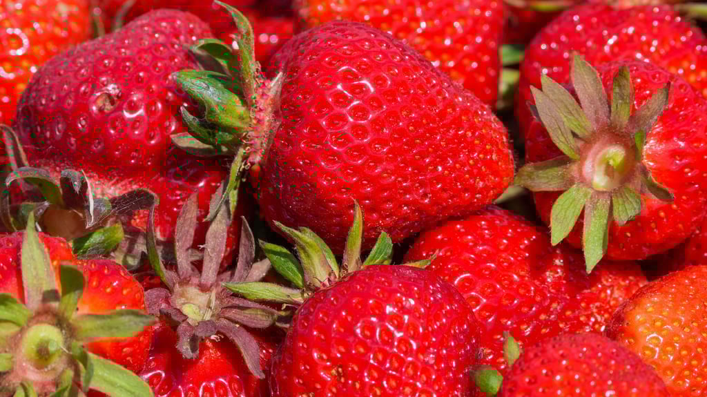 Im Harz in der Stadt Wernigerode entsteht ein Karls Erlebnis-Dorf.