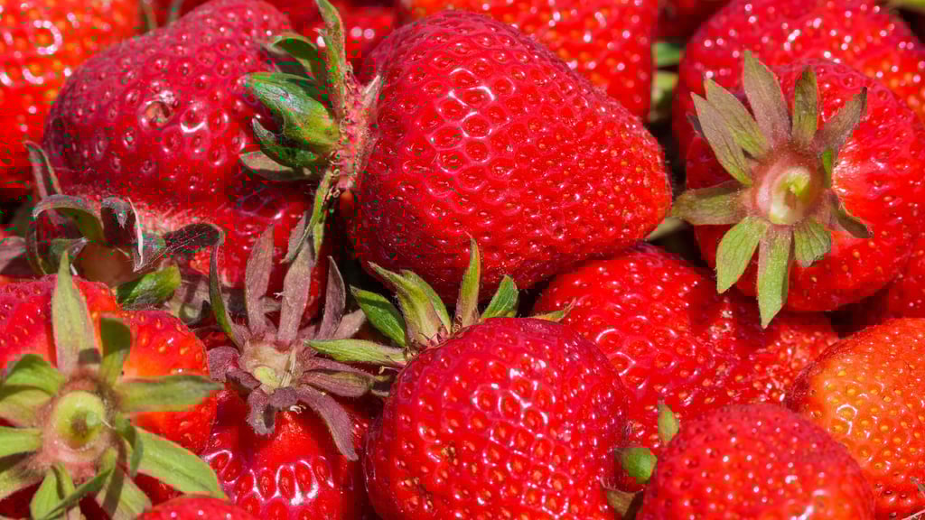 Im Harz in der Stadt Wernigerode entsteht ein Karls Erlebnis-Dorf.