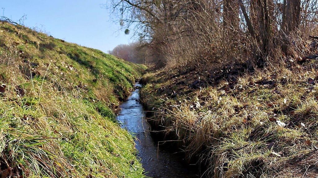 Der Moritzgraben in Biere gilt als ökologisch interessantes Gebiet. 