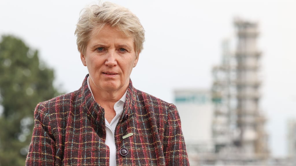 Wird auf einem AfD-Plakat abgebildet: Landrätin Dörk. (Archivbild)