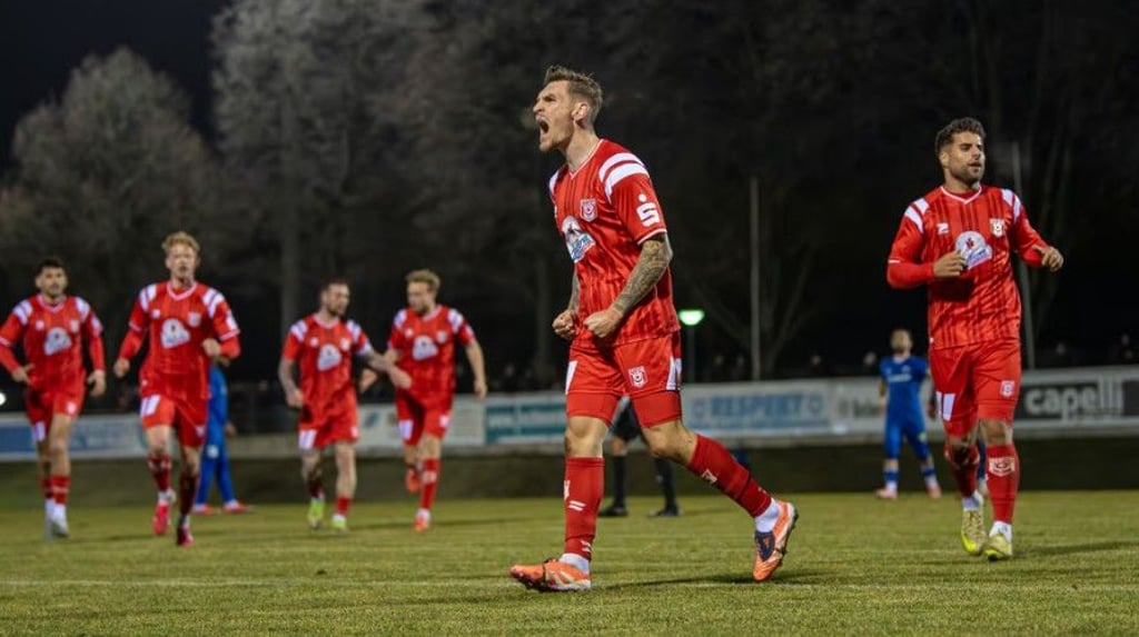 Niclas Stierlin war beim Halleschen FC mit drei Treffern der große Matchwinner.