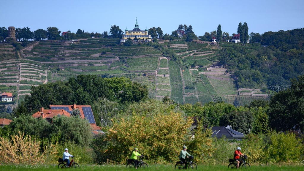Der Elberadweg ist laut einer Online-Umfrage Deutschlands beliebtester Radfernweg. (Archivbild)