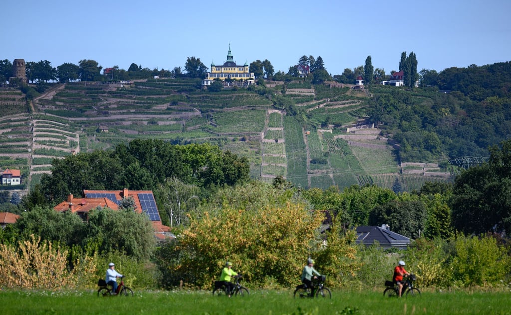 Der Elberadweg ist laut einer Online-Umfrage Deutschlands beliebtester Radfernweg. (Archivbild)
