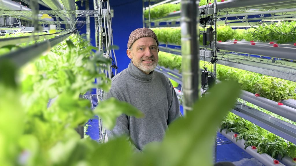 Martin Pittorf zieht in Heyrothsberge Salatpflanzen ganz ohne Erde heran. Derzeit tüftelt er an der Effizienz der Anlage.