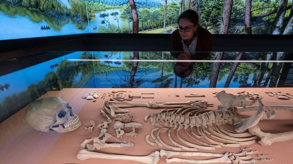 Die Gebeine der Schamanin von Bad Dürrenberg gelten als einer der wichtigsten Funde der mitteleuropäischen Archäologie. (Archivbild)