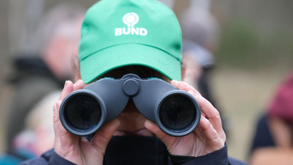 Der Bund für Umwelt und Naturschutz Deutschland in Sachsen wünscht sich weniger Bürokratie für den Schutz der Umwelt. (Symbolbild)