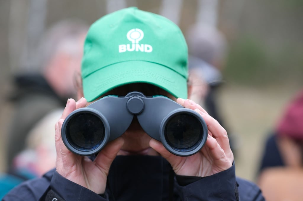 Der Bund für Umwelt und Naturschutz Deutschland in Sachsen wünscht sich weniger Bürokratie für den Schutz der Umwelt. (Symbolbild)
