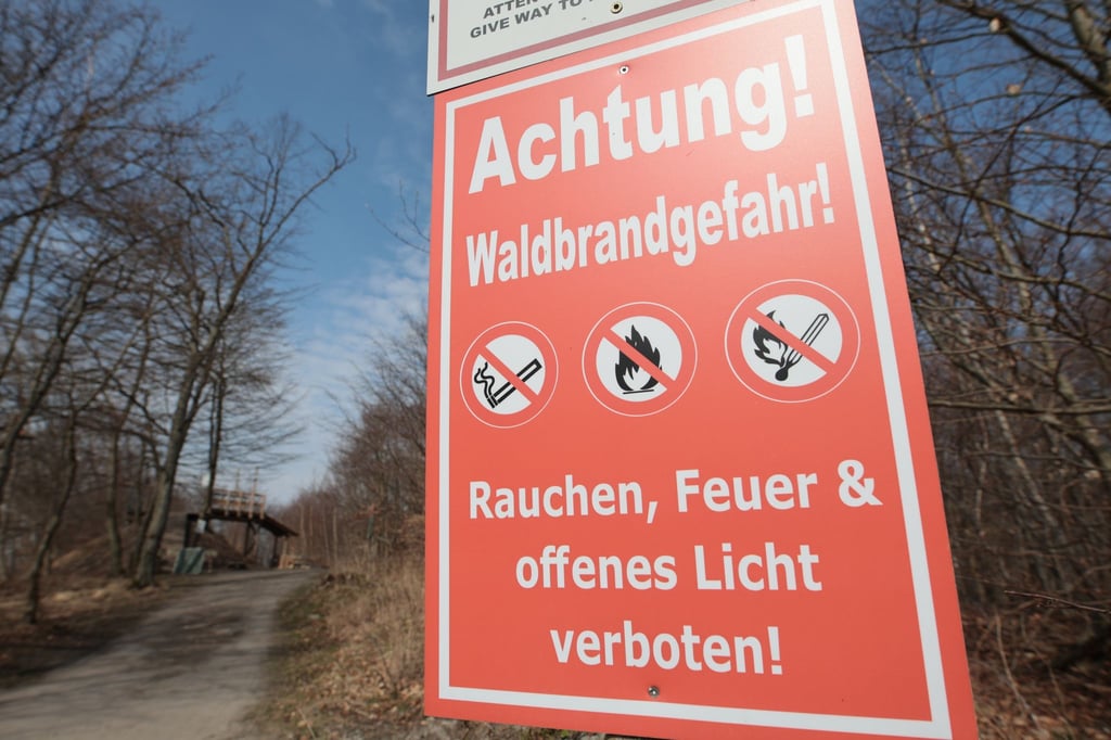 Zum Start der Waldbrandsaison gilt in Teilen Sachsen-Anhalts Gefahrenstufe 3. (Archivbild)
