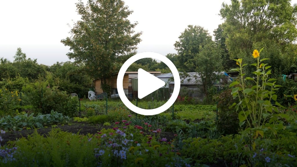 Grünes Idyll hinterm Gartenzaun: Zwischen einem Kleingartenverein in Magdeburg und dem Verband der Gartenfreunde brodelt es.