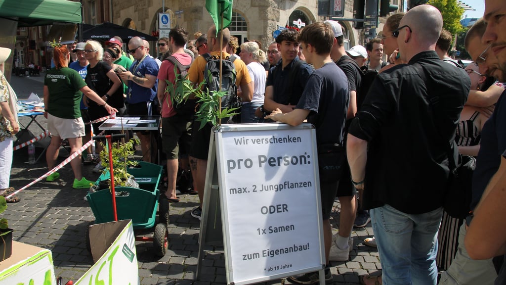 Kundgebung im Juni 2024: Zu diesem Termin hat die Angeklagte auf Hinweis der Versammlungsbehörde lose Stecklinge verteilt.