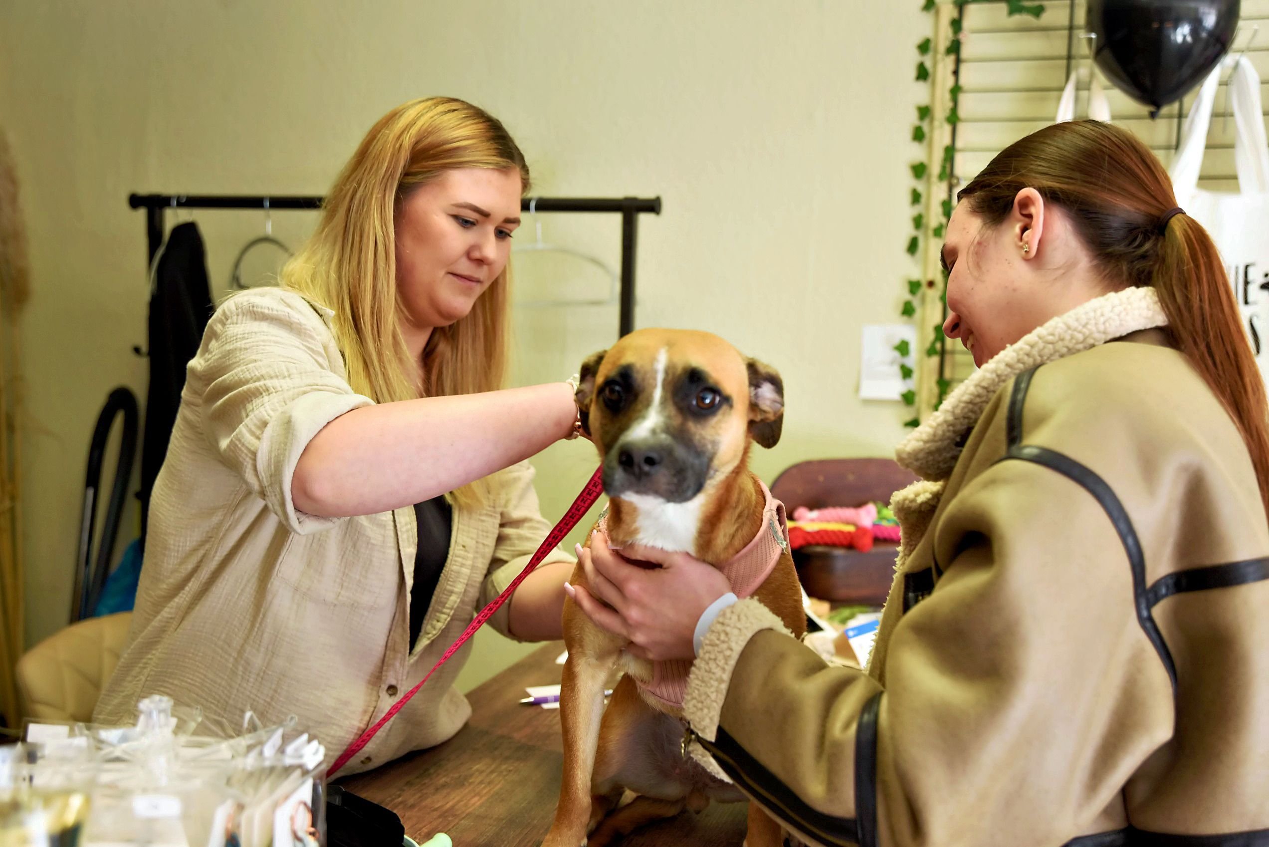 Neueröffnung in Köthen: Handgefertigte tierische Accessoires - Wie Gina Diebner auf die Idee ihrer „Pfotenmanufaktur“ kam