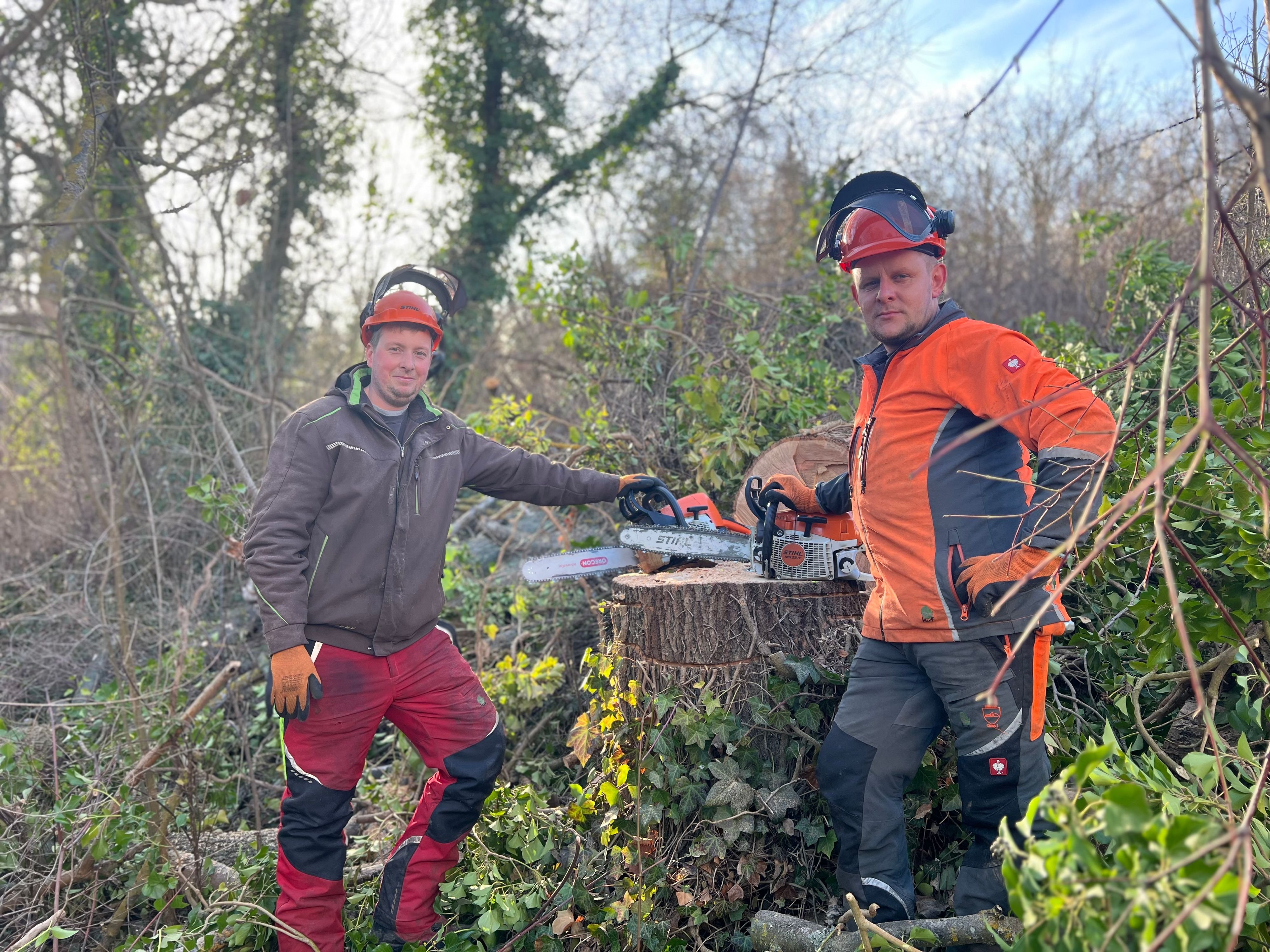 Kleinunternehmen im Harz: Buddeln & Bäume fällen: Zwei Männer fürs Grobe im Huy und darüber hinaus